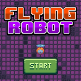 Flying Robot